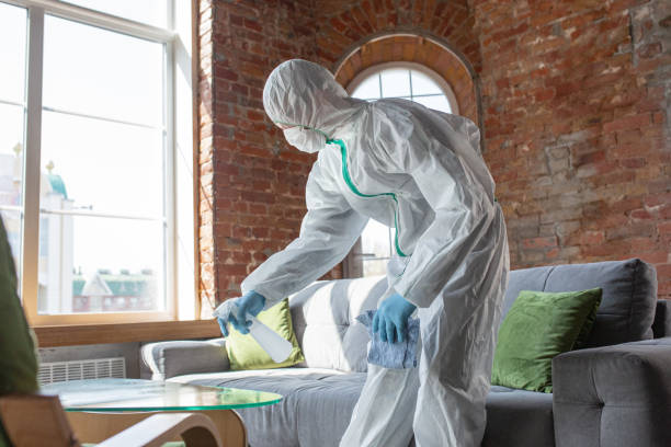 Best Mold Odor Removal Services  in Alexandria, KY