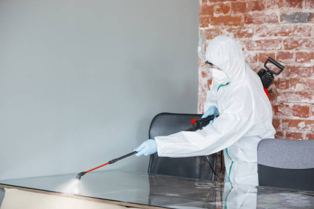 Mold Documentation for Insurance Claims in Alexandria, KY